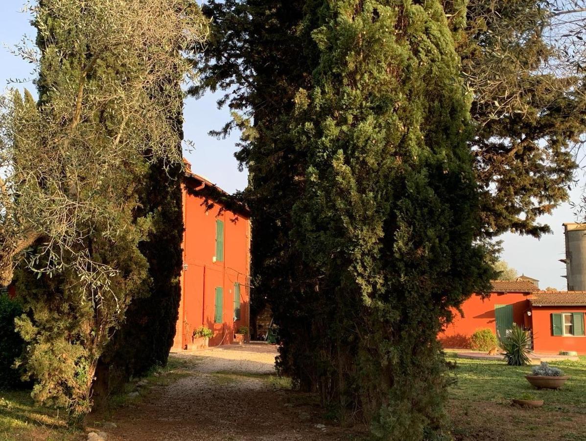 Casale Degli Ulivi Maccarese Villa Le Cerquete Ngoại thất bức ảnh