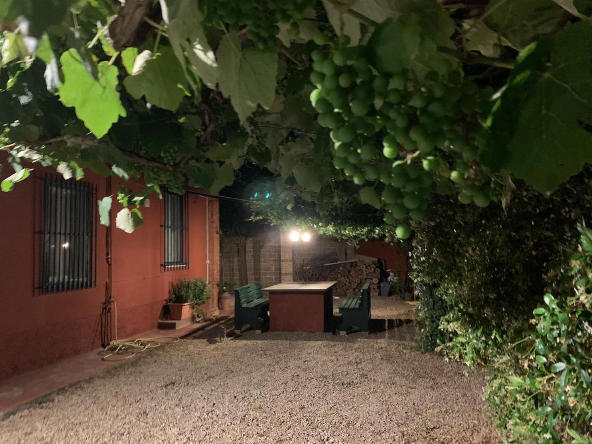 Casale Degli Ulivi Maccarese Villa Le Cerquete Ngoại thất bức ảnh